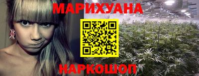 мет Можга