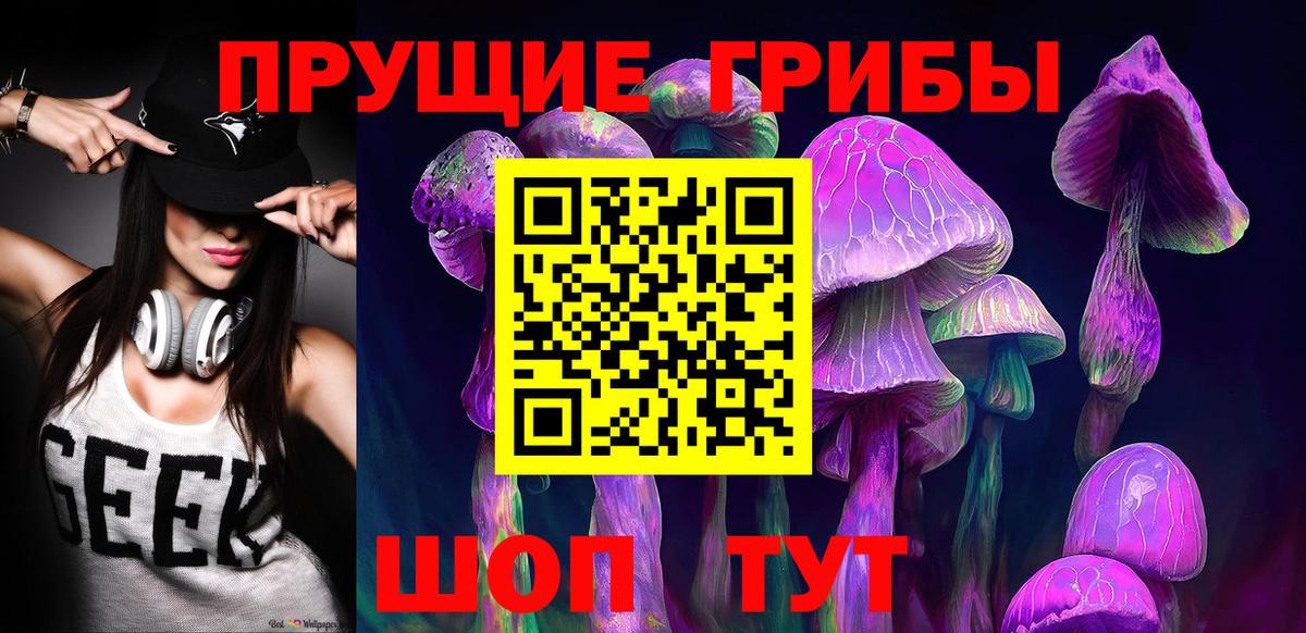 Псилоцибиновые грибы Cubensis Северск