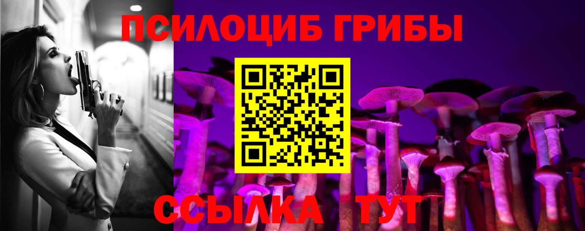 Северск  Псилоцибиновые грибы мухоморы  Вход с VPN 